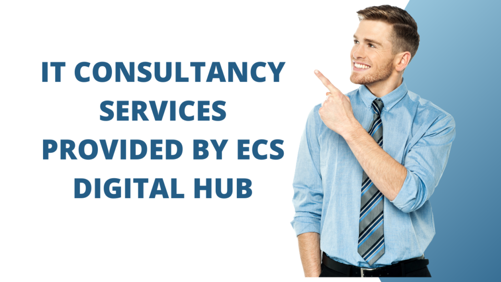 IT Consultancy Services provided by ECS Digital Hub.